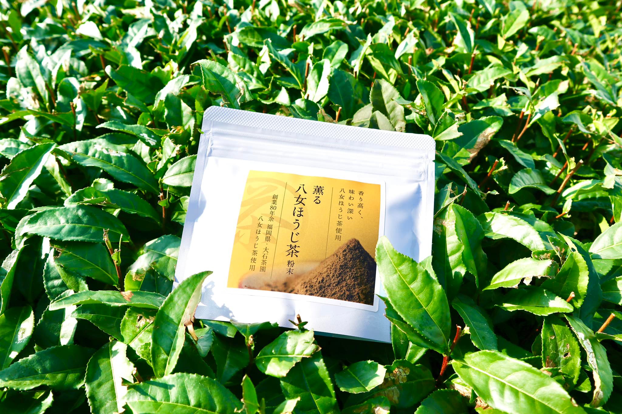 薫る 八女ほうじ茶 粉末』🤤無添加・無着色の緑茶100％健康新商品を